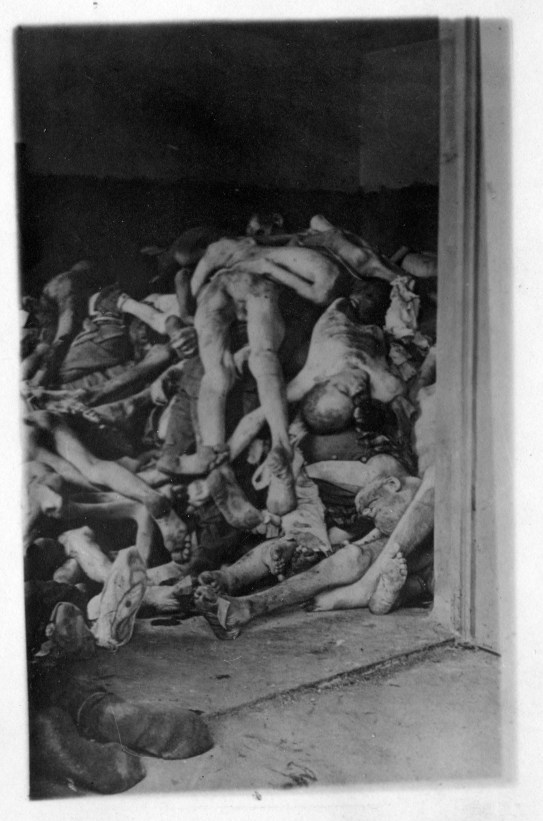 Dachau_02_NotFound_mst