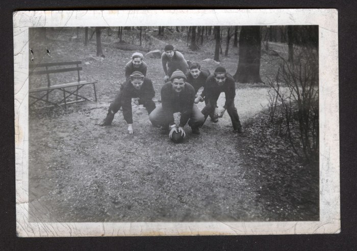 Whippets_02_front_mst