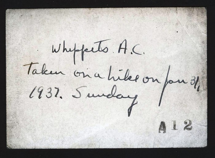 Whippets_02_reverse_mst