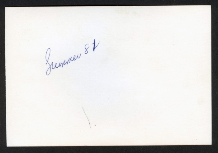 Whippets_06_reverse_mst